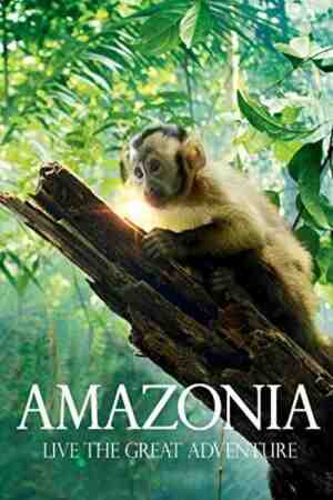 Amazonia Amazonia